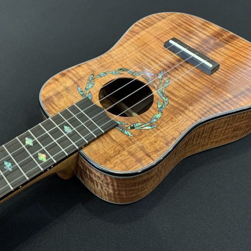 I'iwi Master Series Concert