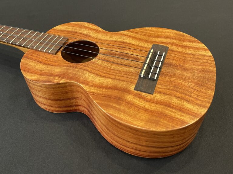 Ukulele Store Hawaii Waikiki Beach Walk 2nd Floor