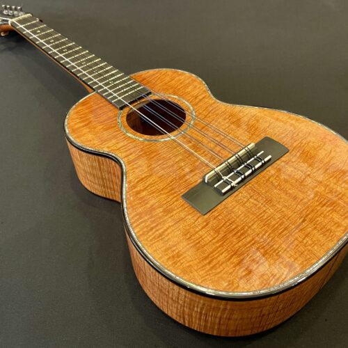 Kamaka HF-38D2 Double Deluxe 8-String Tenor