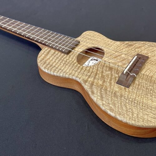 Ko'olau AE-1 Mango/Mahogany Routed Body w/ EQ